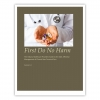 First Do No Harm