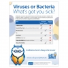 Virus or Bacteria—What